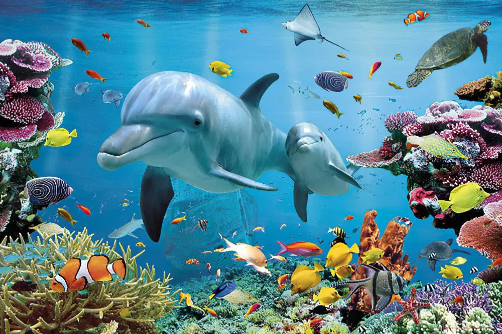 Dolphin House - hurghadamixtrip