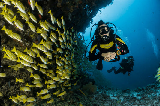 Red Sea Diving Day Trip - hurghadamixtrip